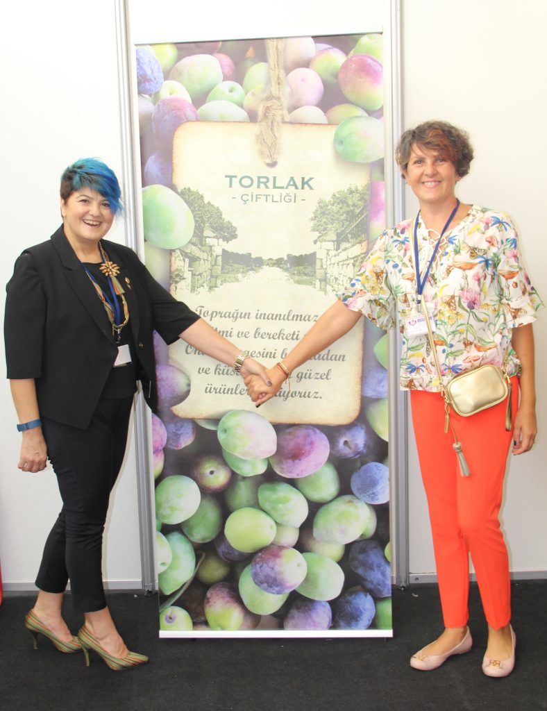 iş kadınları platformu